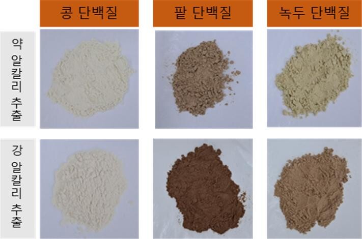 달걀 대신 콩·팥·녹두 단백질…비건·제과 요리 활용 길 열린다