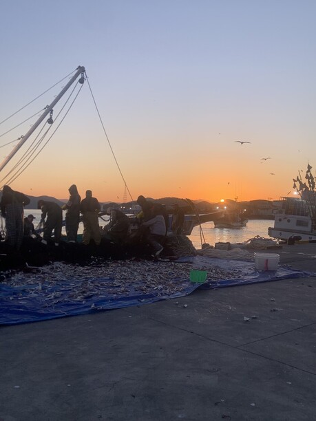 상상 너머의 깊은 맛, 그리고 통영이 건네는 한 도시의 결