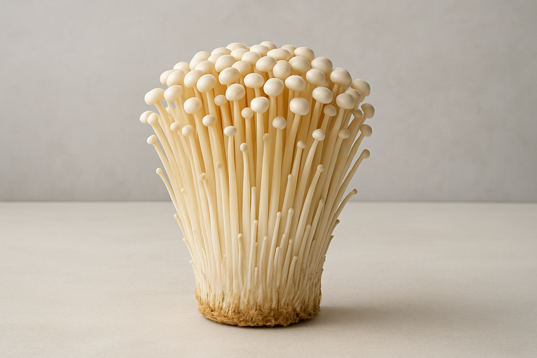 [식생활 건강노트] “2000원으로 건강 챙긴다?” 팽이버섯 효능 알고 보니 더 놀랍다