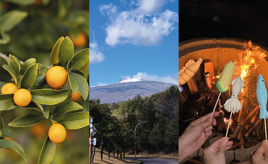 기린빌라리조트 ‘Winter & Healing 패키지’ 출시 "제주 겨울, 숲속에서 쉬다"