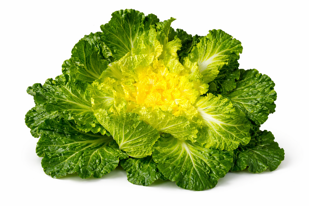 [식생활 건강노트] 겨울 끝자락에 만나는 봄동, ‘눈’부터 ‘혈관’까지 지키는 제철 채소