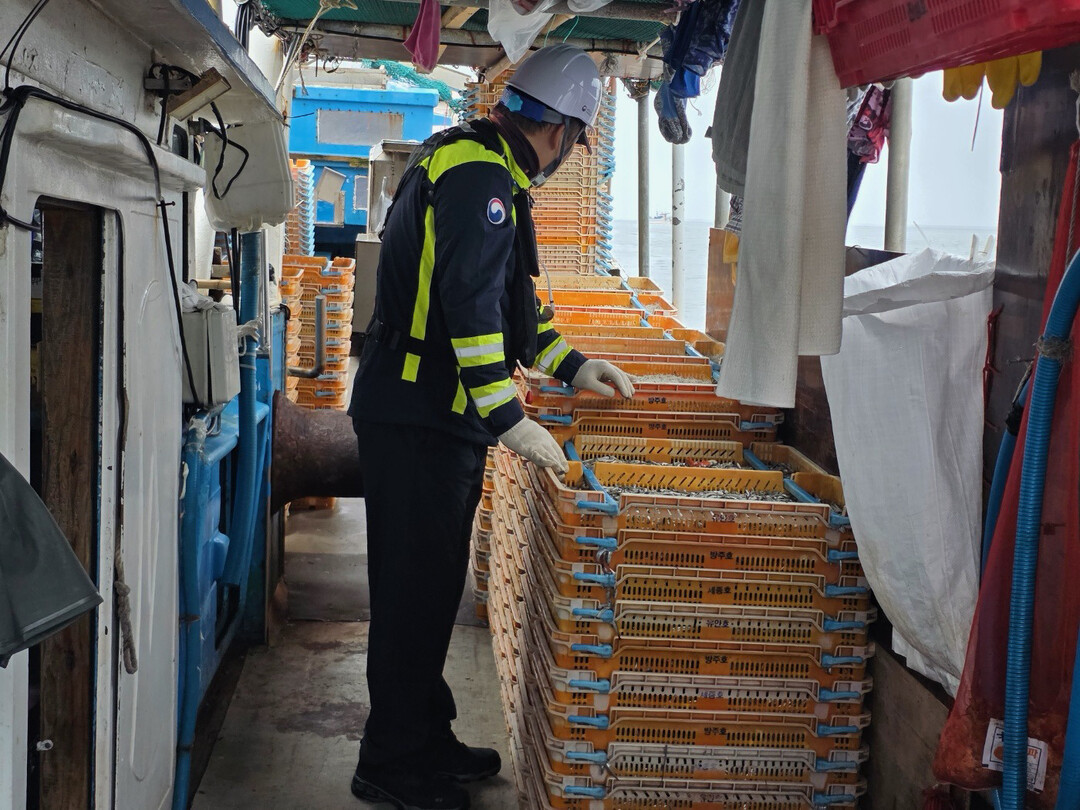 해수부, 설 앞두고 제수용 수산물 불법 유통 ‘전방위 단속’