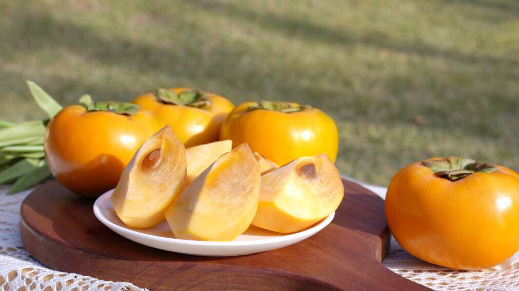 국내 최대 단감 생산지 창원의 단감&nbsp; 사진 = 창원시