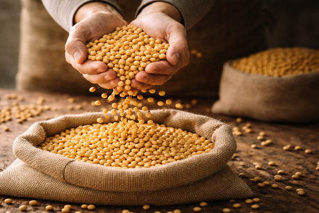 국산 콩, ‘편스토랑’ 방송 타고 소비자 식탁으로