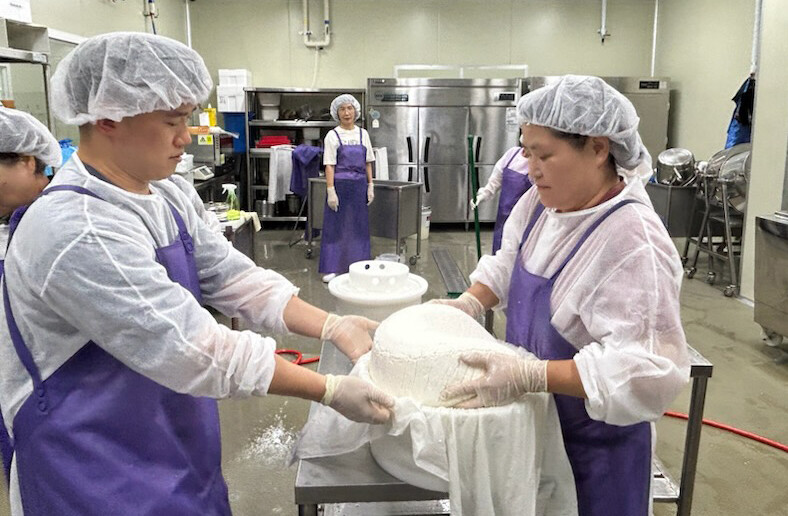 수입 유제품 공세 대비… 전남 ‘목장형 유가공’ 키운다