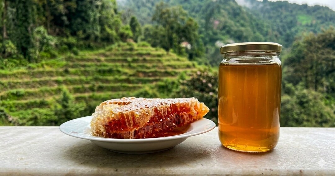 아침 전 딱 한 스푼, 터키 흑해 협곡서만 채취된 '몽환의 꿀'