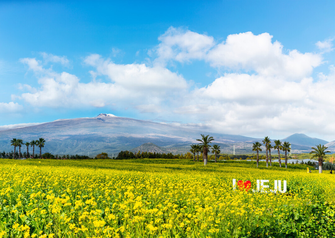 제주 기린빌라리조트, 봄 시즌 맞아 ‘힐링 배스 스테이 패키지’ 출시