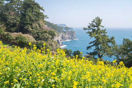 JW 메리어트 제주, 조식, 베이커리 카페, 다양한 액티비티로 평일 제주에서 온전한 휴식 경험