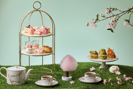 카시아 속초, 설악산과 영랑호 벚꽃 시즌 맞아 미식 콘텐츠 강화