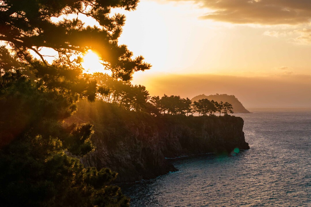 JW 메리어트 제주, 자연·건축·사운...