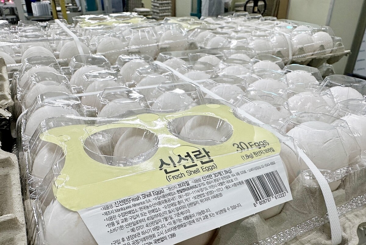 정부, 브라질산 신선란 첫 수입…계란 물가 잡을 수 있을까