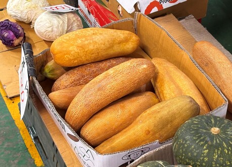 [식재료 노트] 늙은 오이라 얕본 ‘노각’의 반전