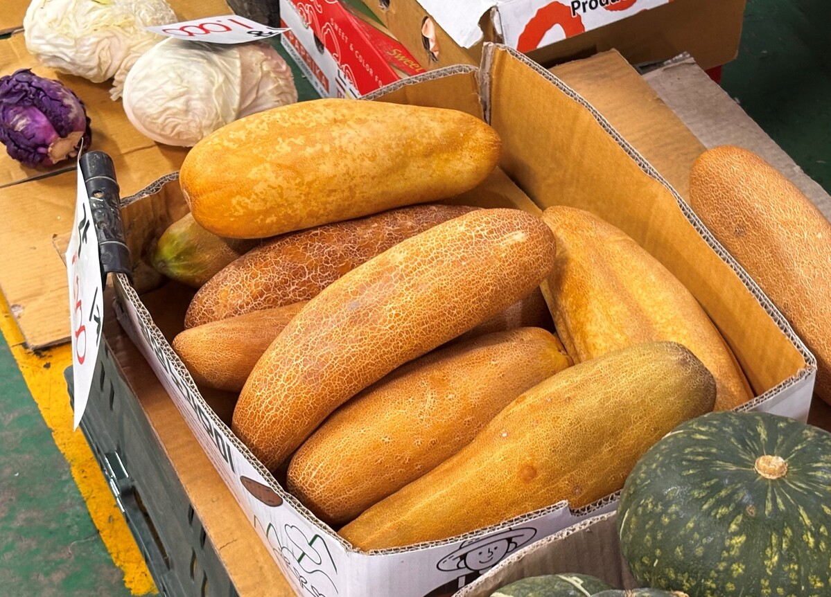 사진 = 제철을 맞아 판매중인 노각(기자 제공)