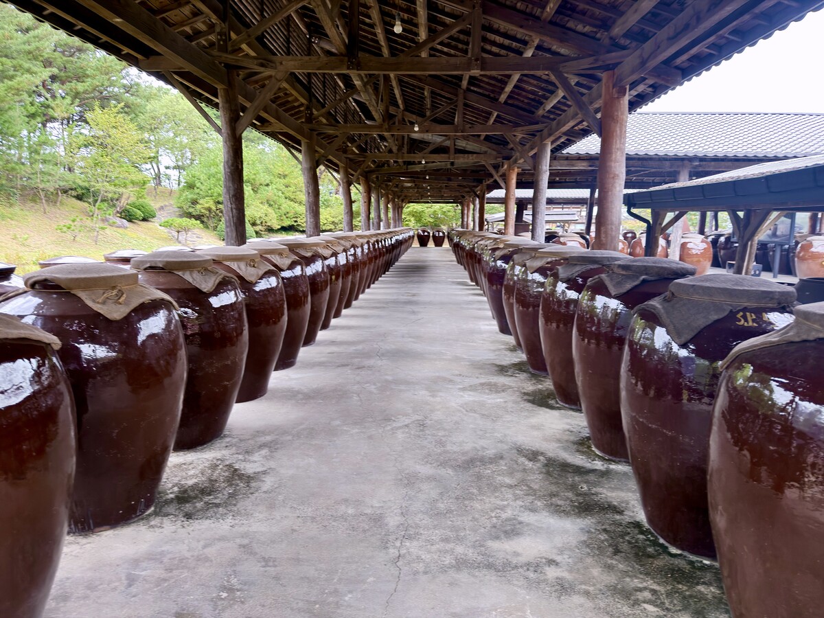 포천 산사원 세월랑에 줄지어 놓인 술 항아리. 선선한 가을바람이 불기 시작한 산사원에서는 술이 익어가는 풍경과 함께 우리 술의 역사와 문화를 만나볼 수 있다. /사진=신현우 기자