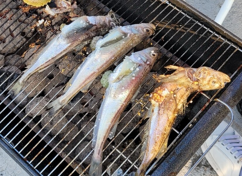 숯불 위에 구운 도루묵은 별미다.  사진=신상열  칼럼니스트